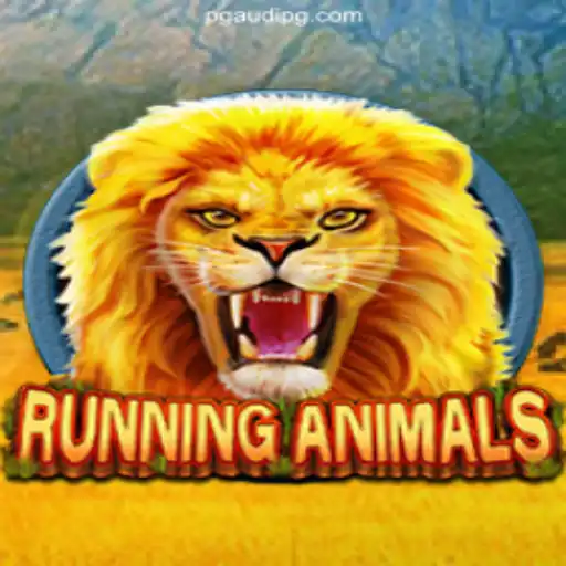 Run Wild in 